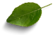 flyer farinheira (1920 px × 1080 px).png