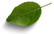 flyer farinheira (1920 px × 1080 px).png