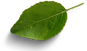 flyer farinheira (1920 px × 1080 px).png