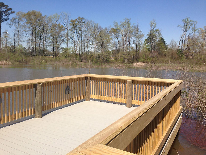 Wetlands Project2.jpg