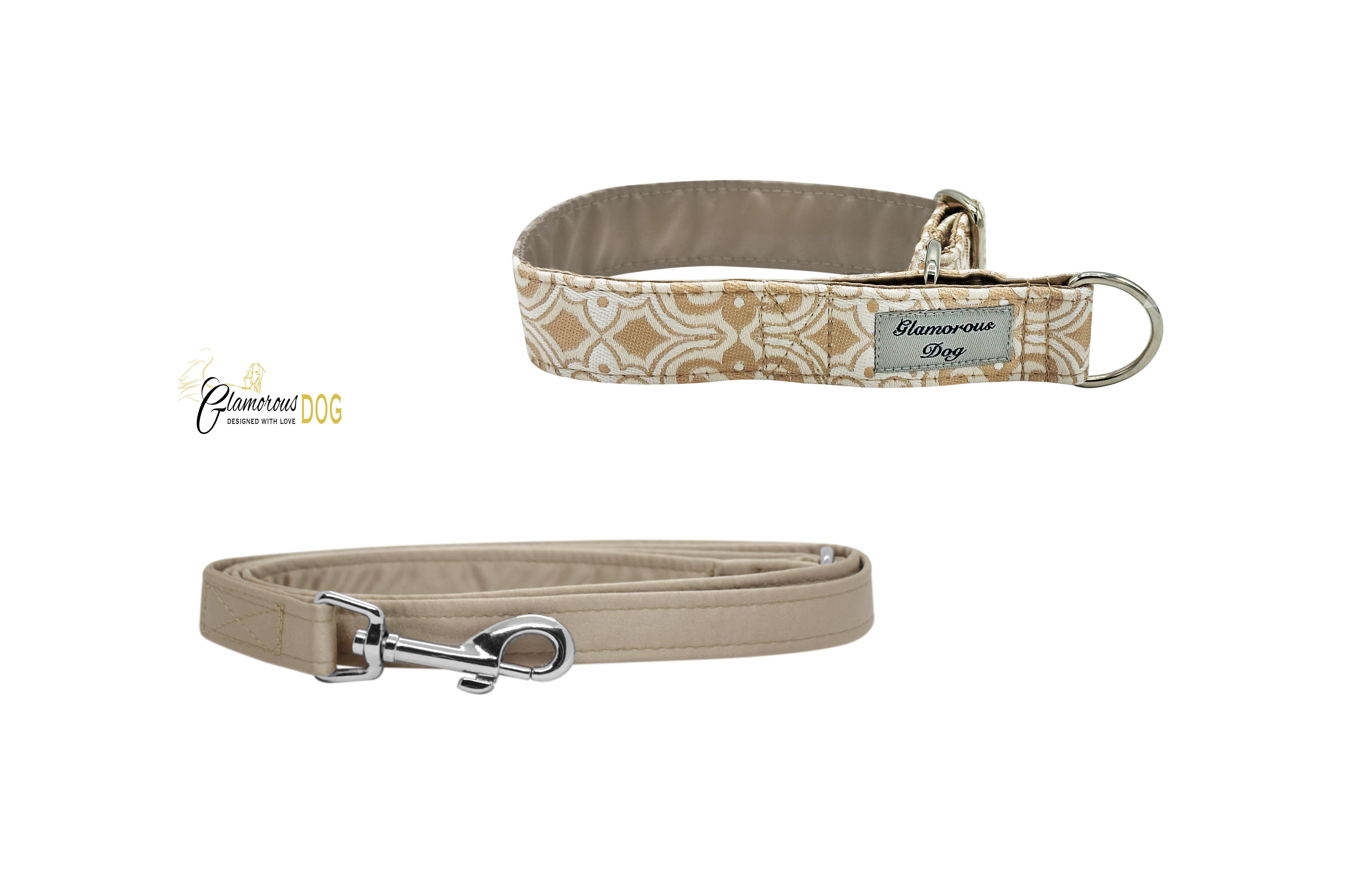 Collar with leash for puppy with beige gotic pattern
