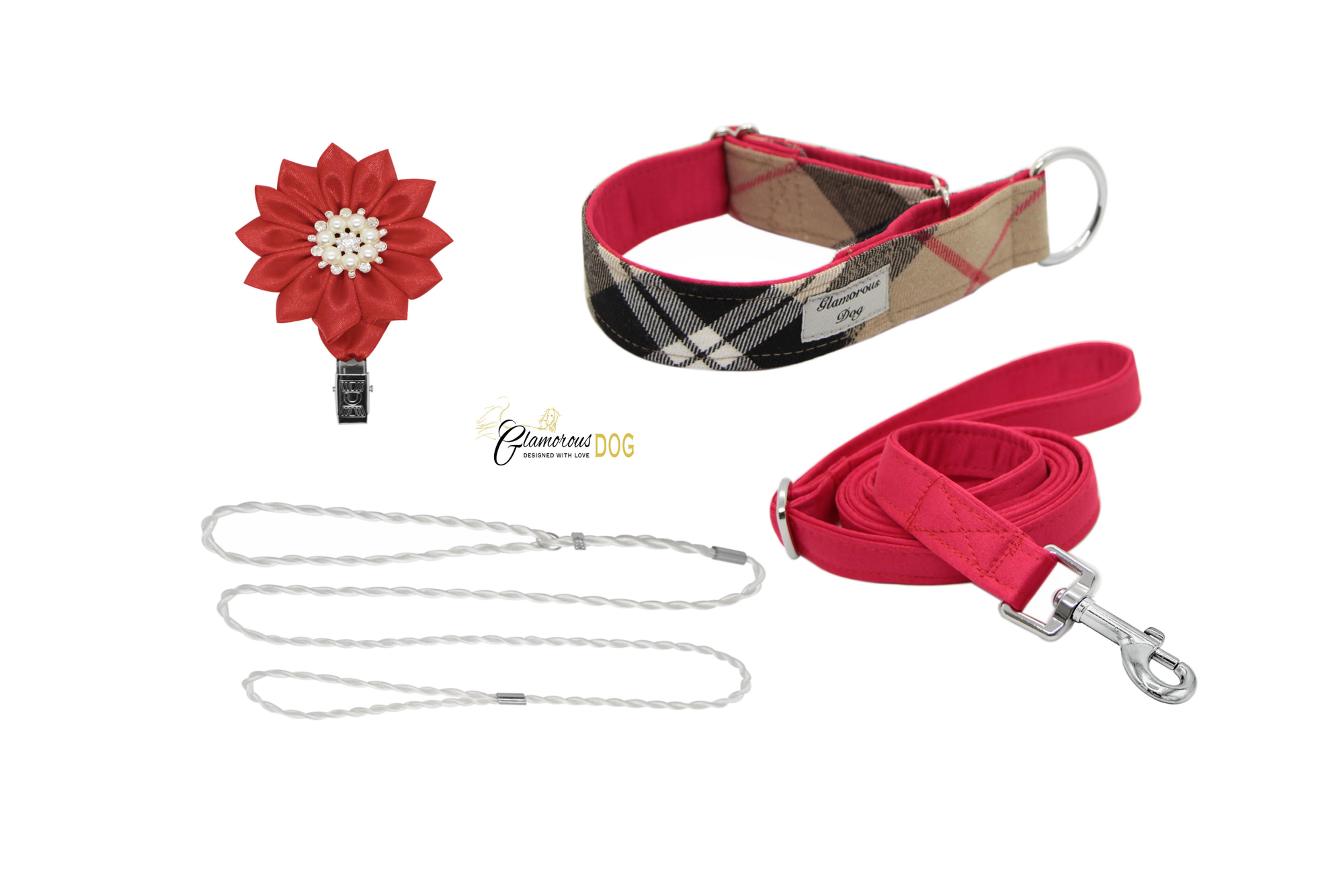 Sada pro štěně - kostka na červené (bez ušanky)