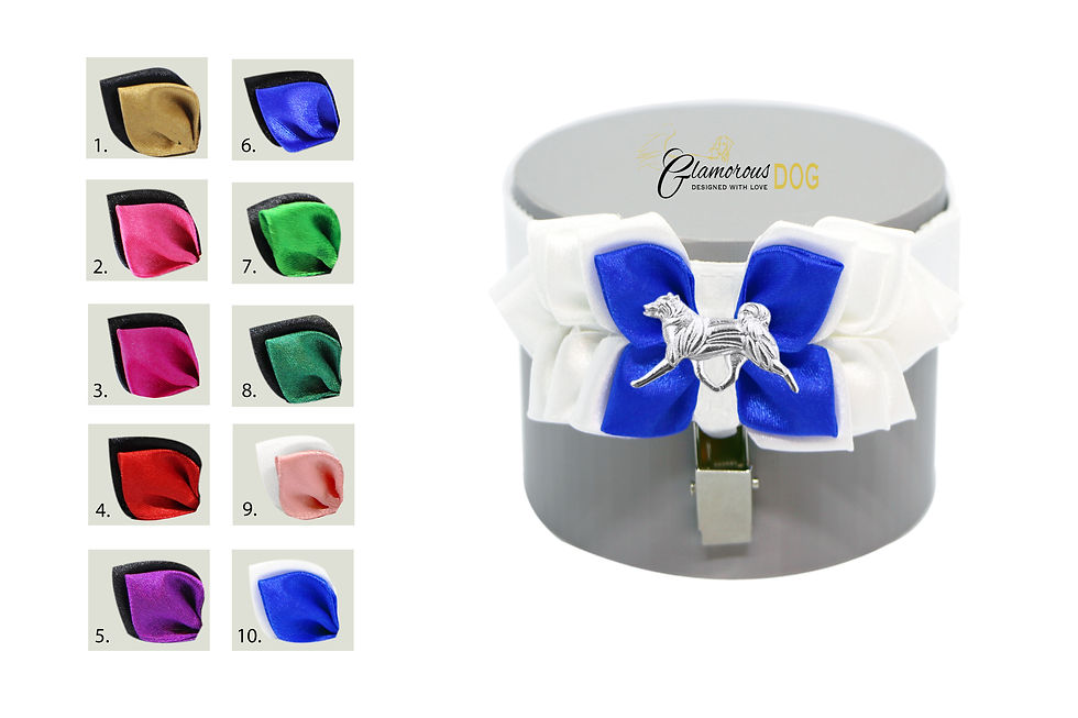 Miniatura: Držák čísla s plemenem Akita