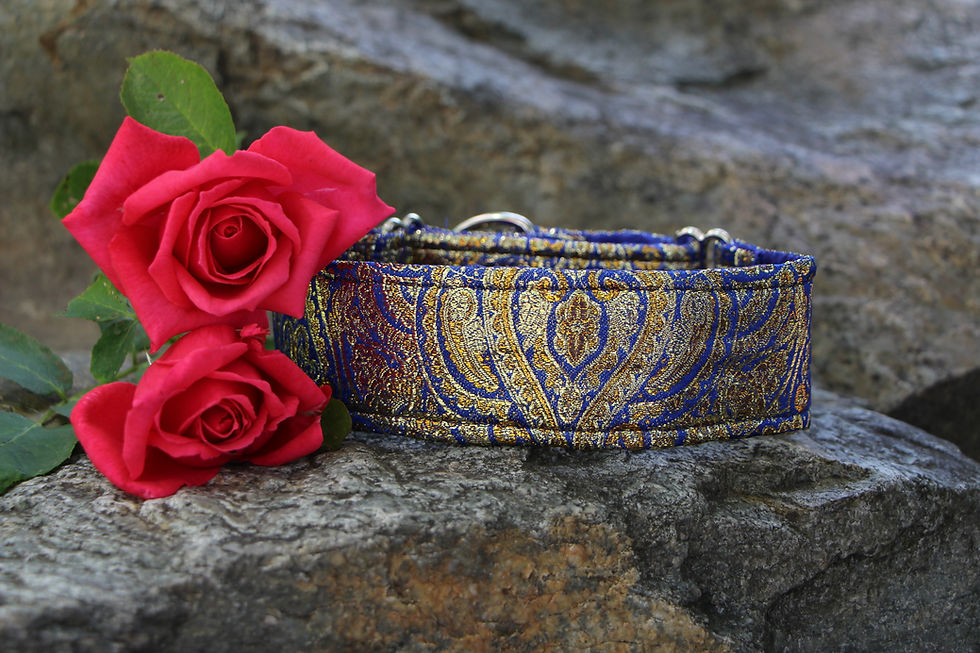 Brocade collar - blue & gold