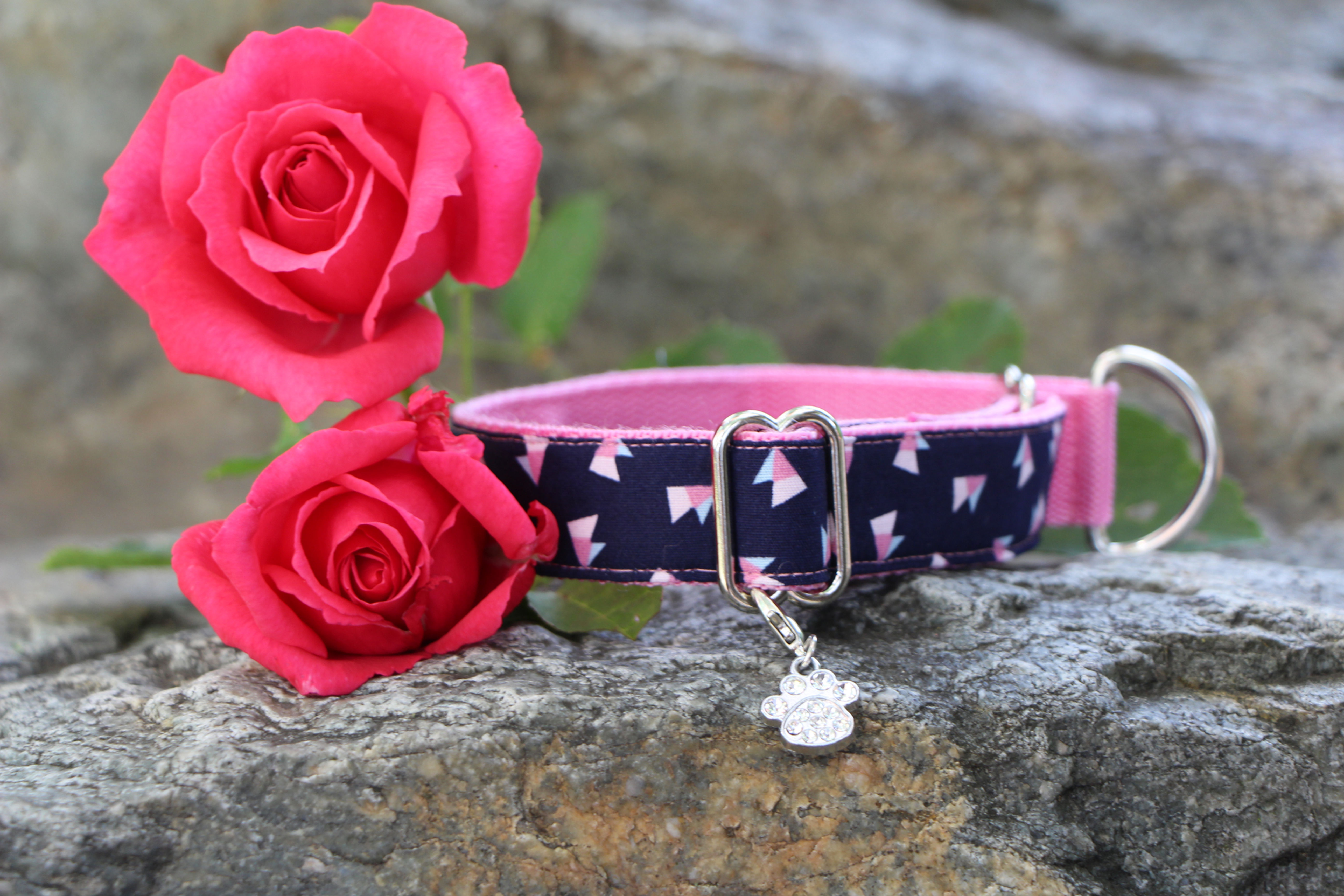 Obojek modro-růžový