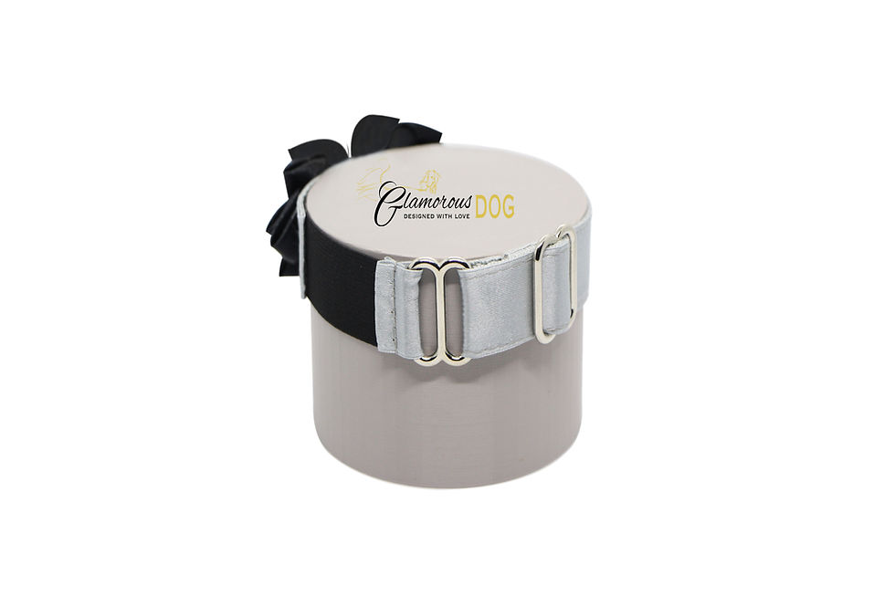 Thumbnail: Arm number holder - Silver & black