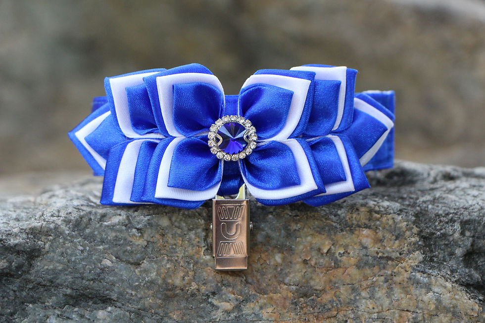 Thumbnail: Arm number holder - True blue & white