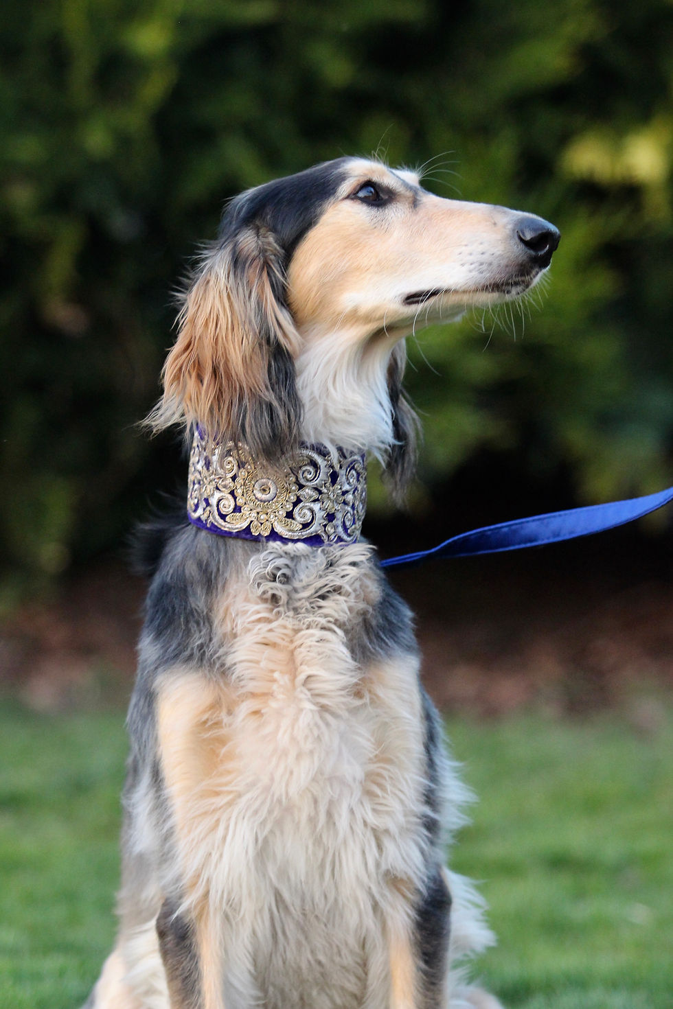 Miniatura: Obojek Vaasa bez střapce