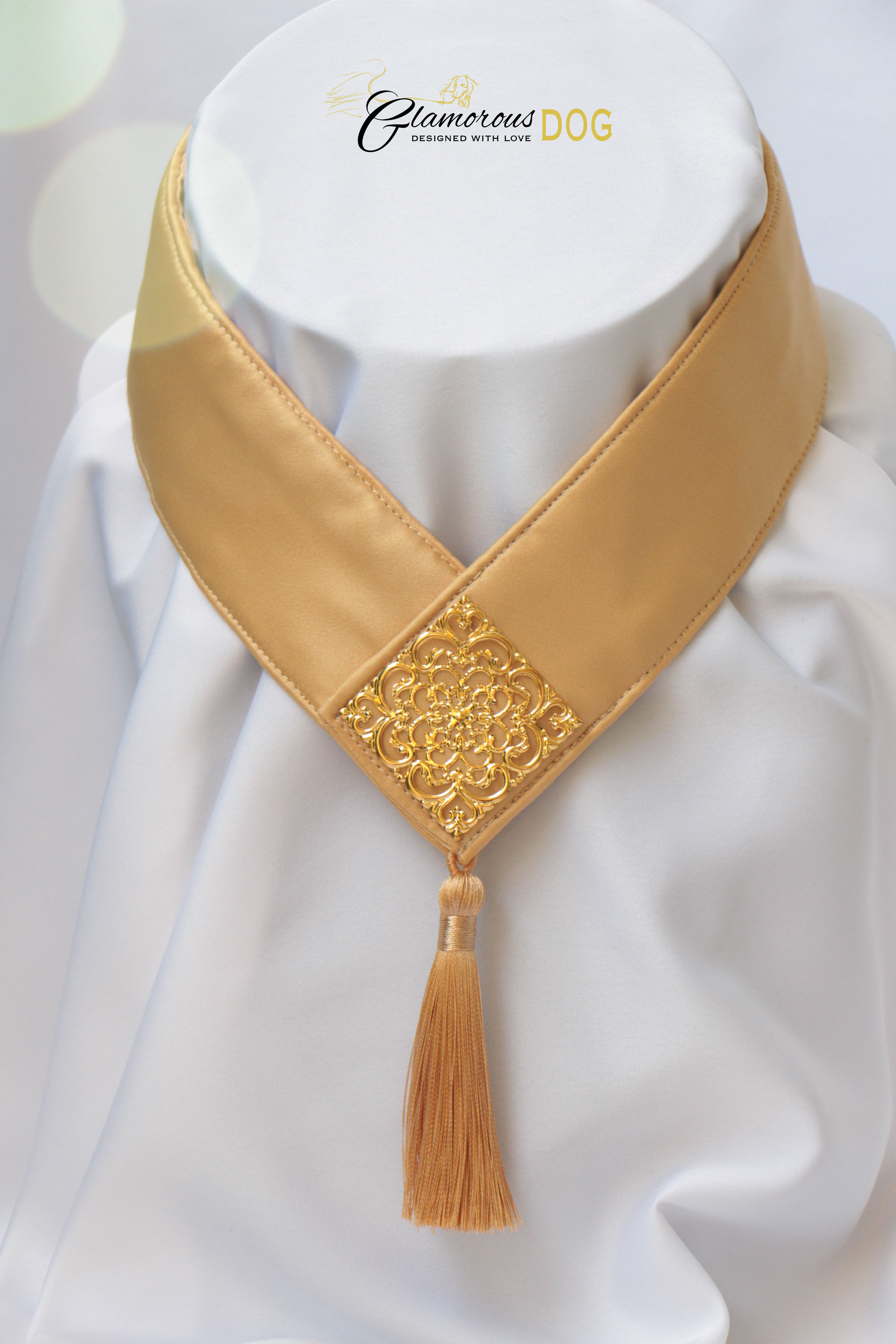Collar for finals - yellow with metal plate