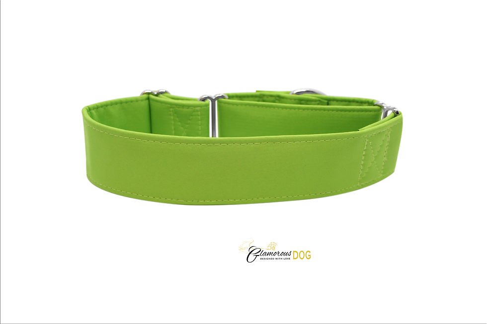 Thumbnail: Adjustable softshell collar orange with the possibility of a leash