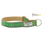Thumbnail: Collar with a lead for a puppy in green