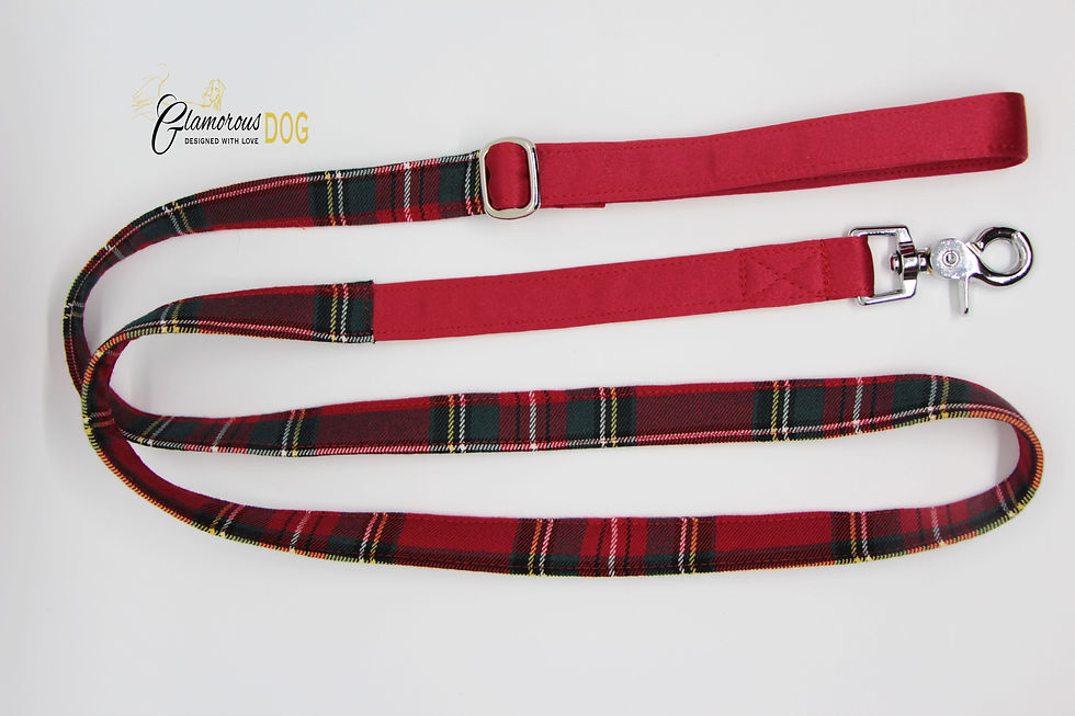 Thumbnail: Collar Carlow