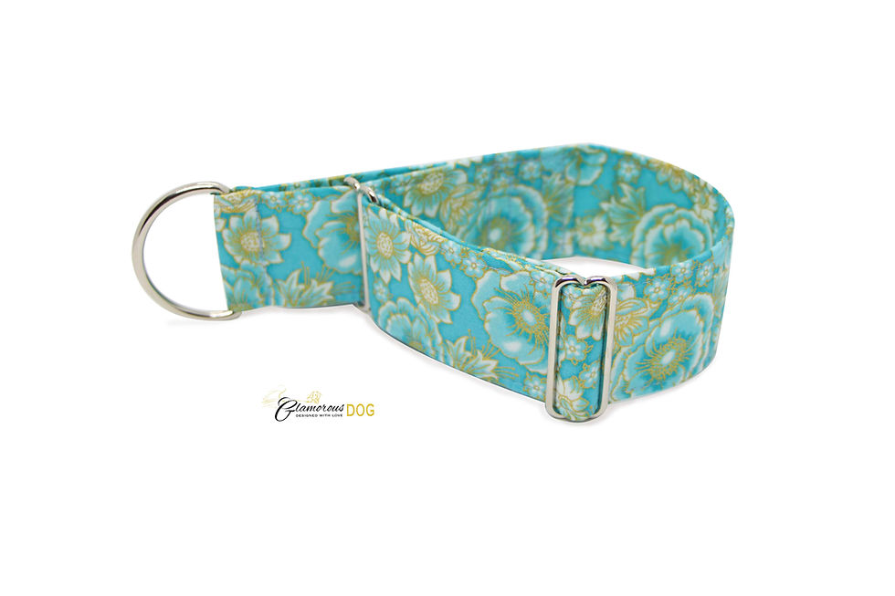Thumbnail: Adjustable turquoise collar with leash option