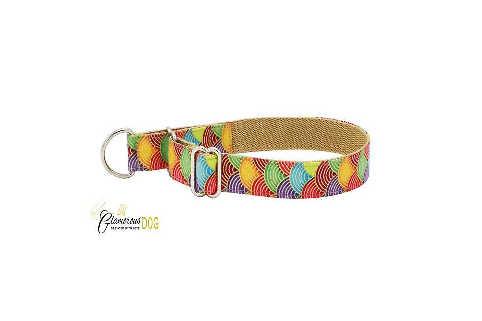 Miniatura: Barevný obojek s vodítkem pro štěně