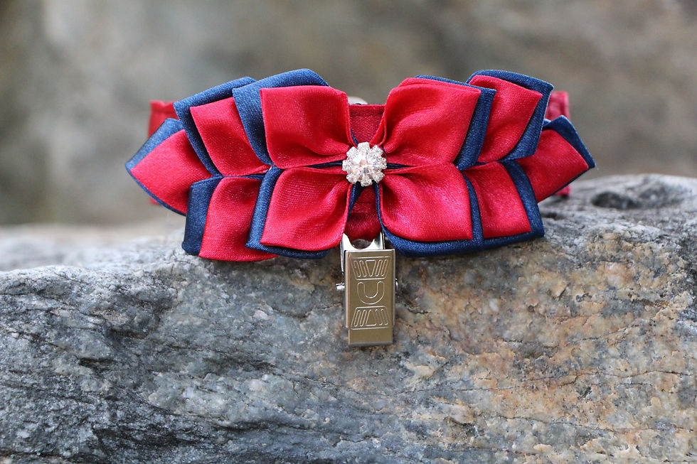 Thumbnail: Arm number holder - Red & dark blue