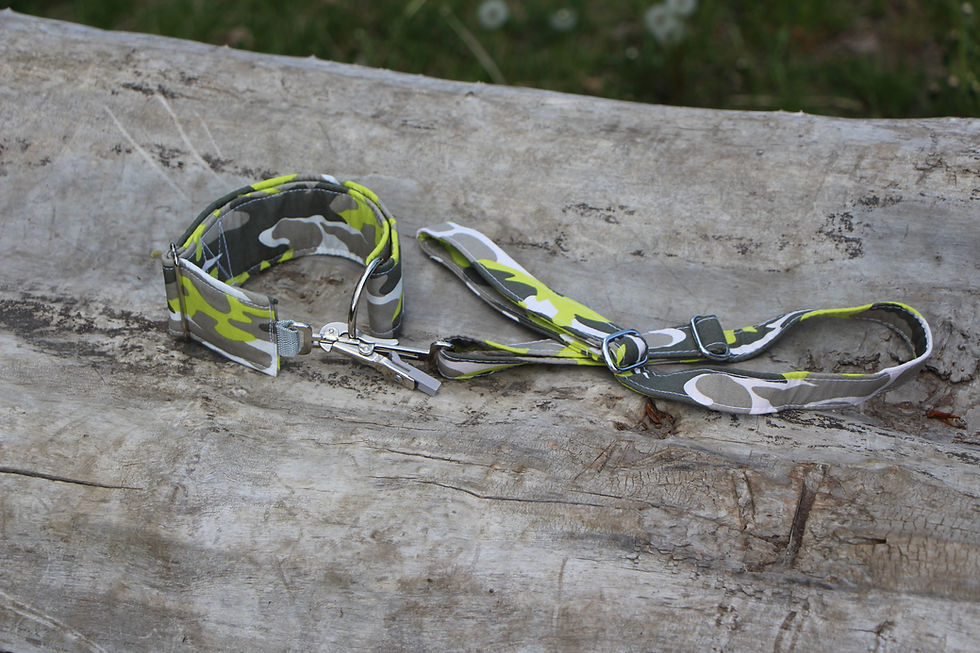 Thumbnail: Releasing set for coursing - green army