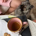 Loki, German spitz looking at a cup of coffee in Lanzarote