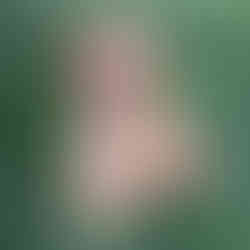 Cocker Spaniel Puppy For Sale