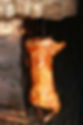 Roasted%20pig%20on%20the%20spit_edited.j