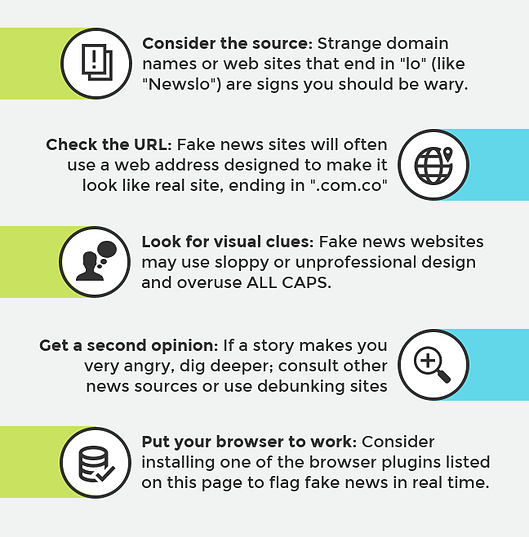 Spot and Stop Fake News
