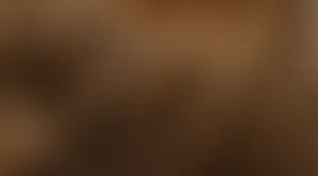 How to Rock the Hottest Hair Extension Trends of 2025 Without Breaking the Bank