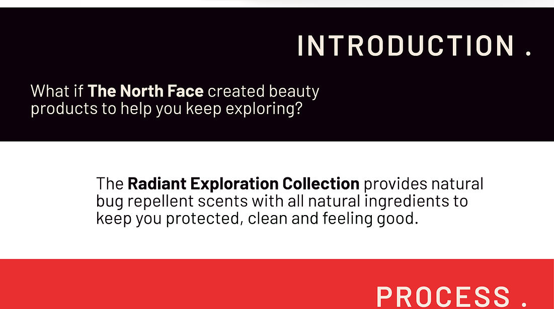 NORTHFACE CASE STUDY-02.jpg