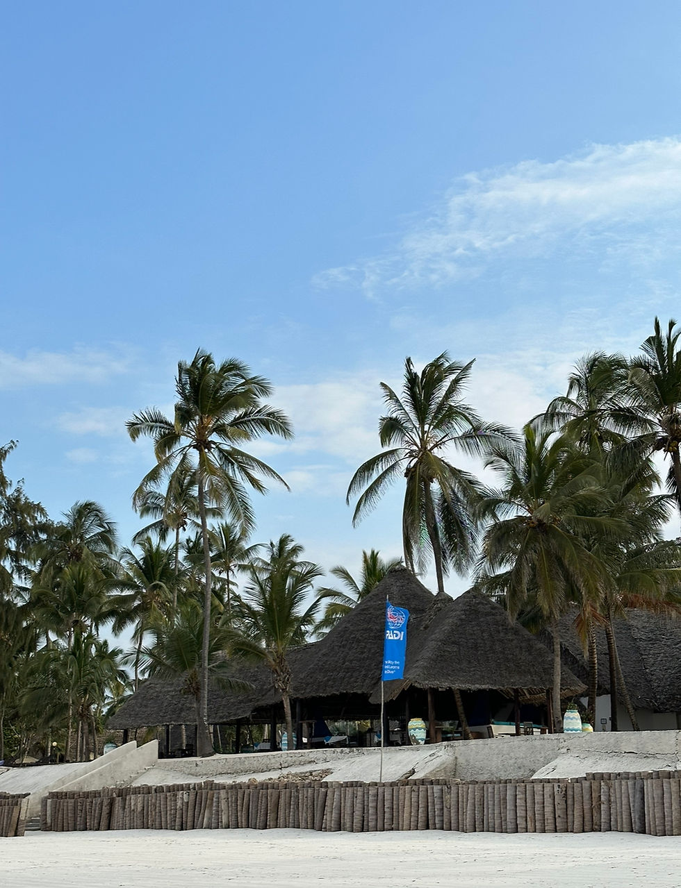 Kiwengwa Beach Zanzibar