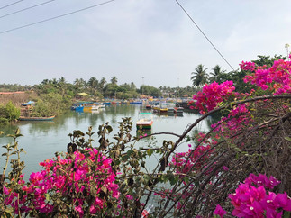Baga River in Goa