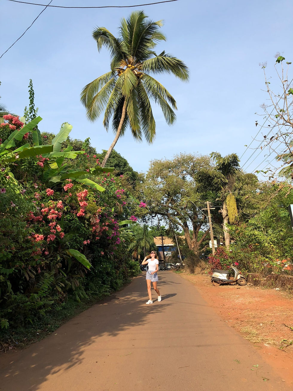 On the way to Baga Beach, Goa, India