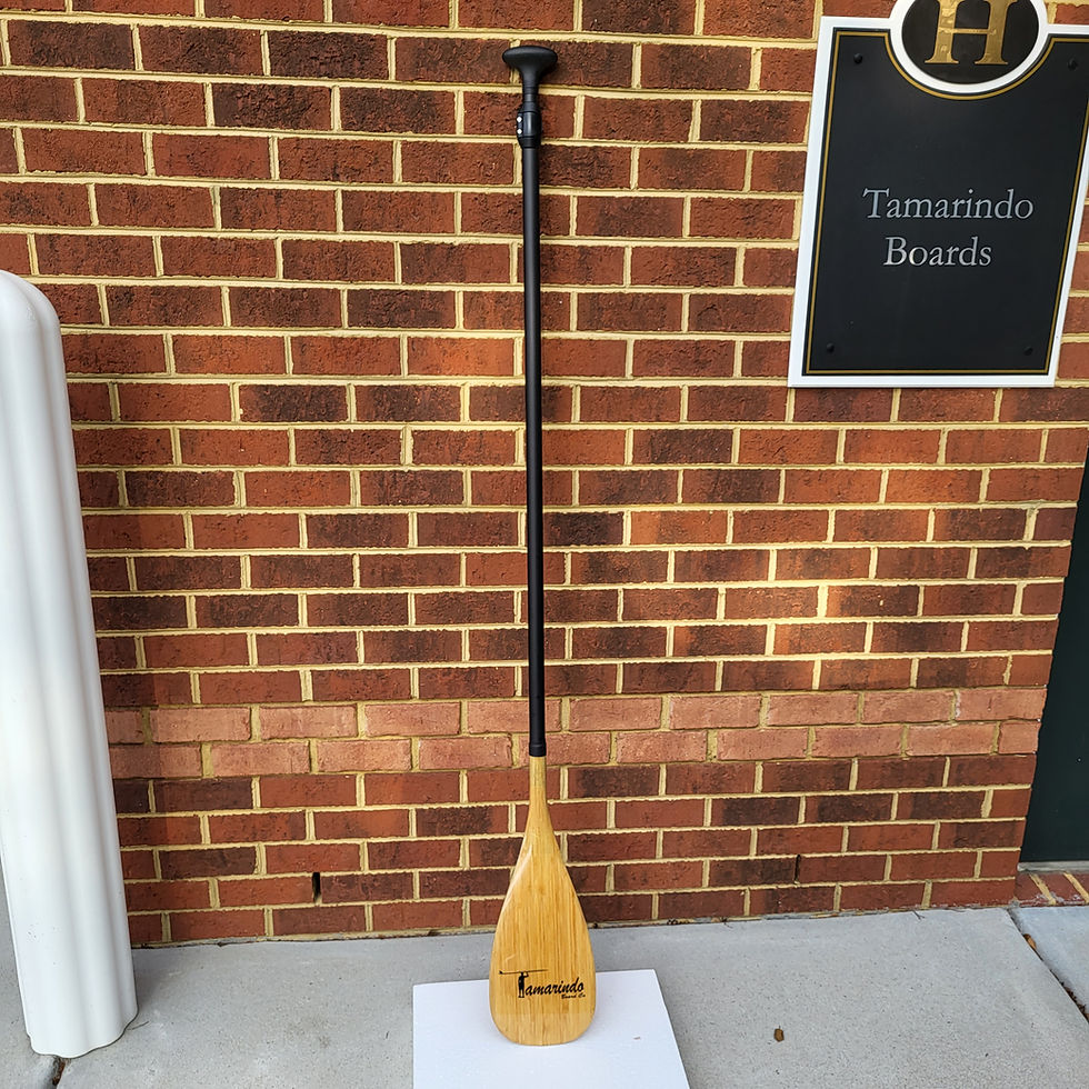 Thumbnail: Adjustable Carbon Fiber Paddles