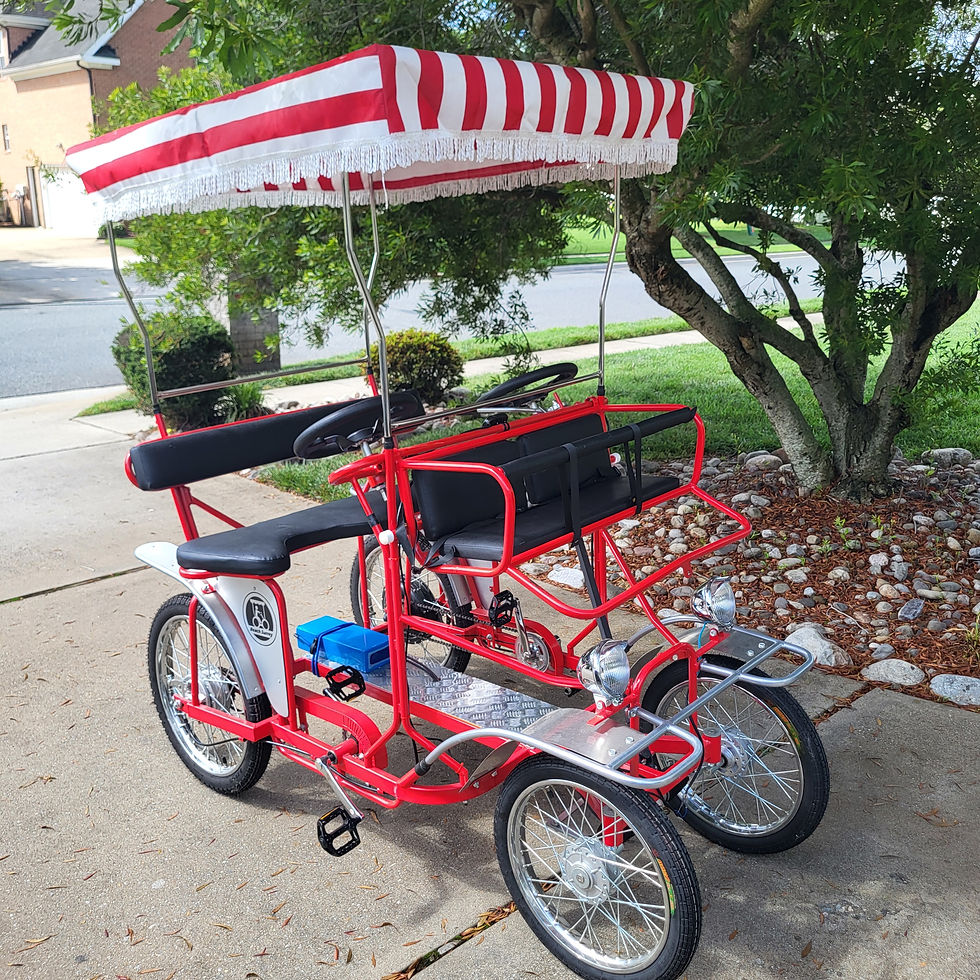 Thumbnail: Demo bike - Electric Assist Single Bench Surrey Red