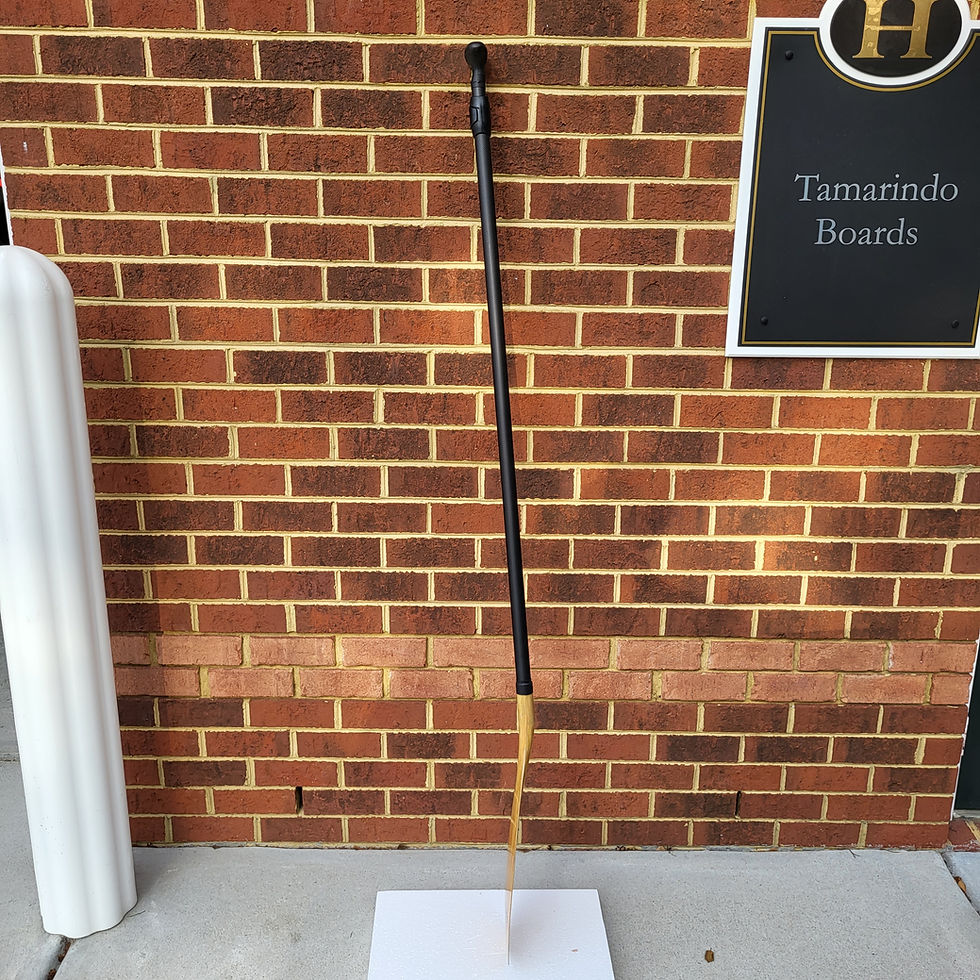 Thumbnail: Adjustable Carbon Fiber Paddles