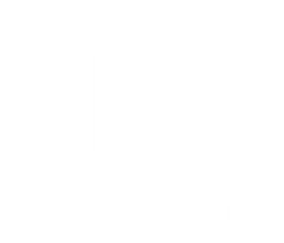 Logo School of Vision Pigna Final-10.png