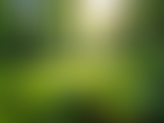 The Importance of Sustainable Living in Today's World