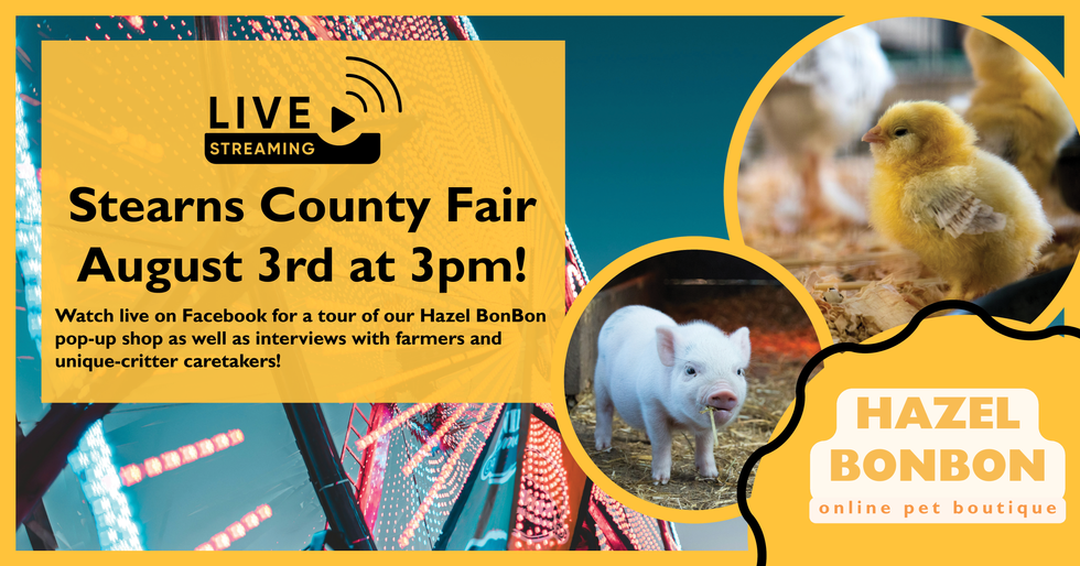 MCOM 370 Event Activation_Fair Live Stream Promo.png