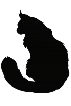 A black silhouette of a maincoone cat