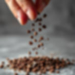 little pieces of cacao nibs being magically sprinkled downward.jpg