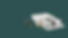 Trimtique Website Artwork (Facebook Cover) (2).png
