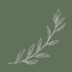 leveza2.png