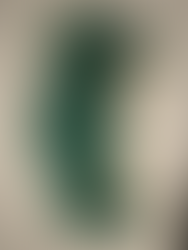 Olivia Fowler Extended Diploma