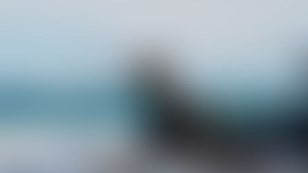 D7-D15 萨尔瓦多的海