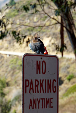 DSC01782_副本_副本
