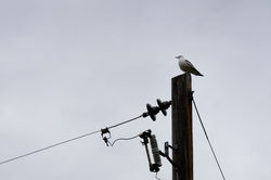 DSC04294_副本_副本