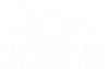 Galileo