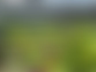 Please Enjoy...A little Inspiration