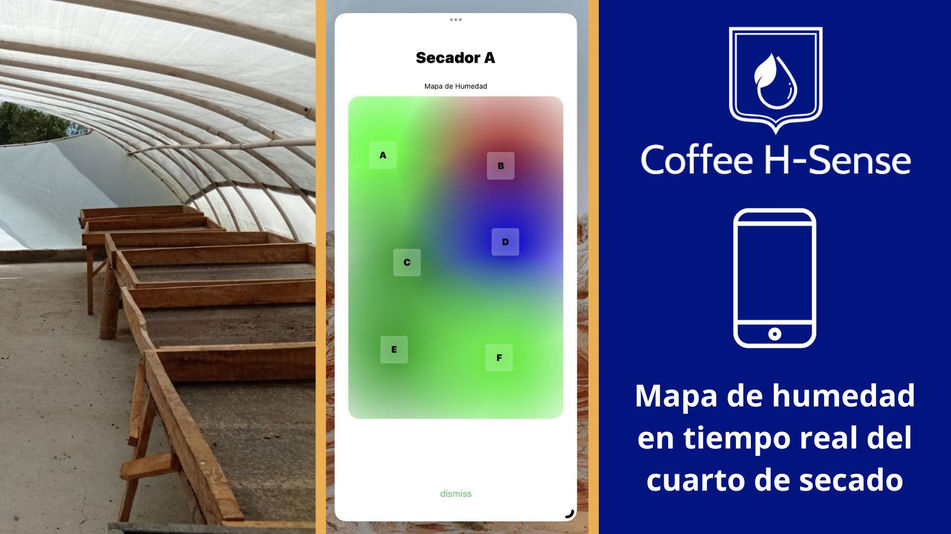DescripcionApp.jpg