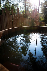 2021-06 bain de foret_184.jpg