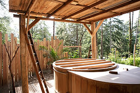 2021-06 bain de foret suite2-37.jpg