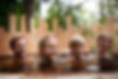 2021-06 bain de foret_314.jpg