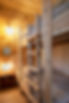 2022-01 bain de foret-108.jpg